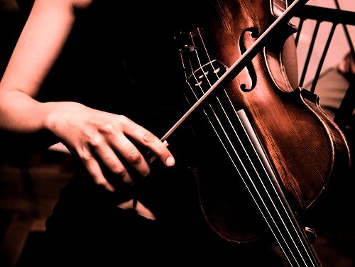 violin