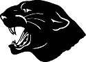 Parcells Panther