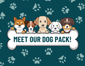  meet our dog pack
