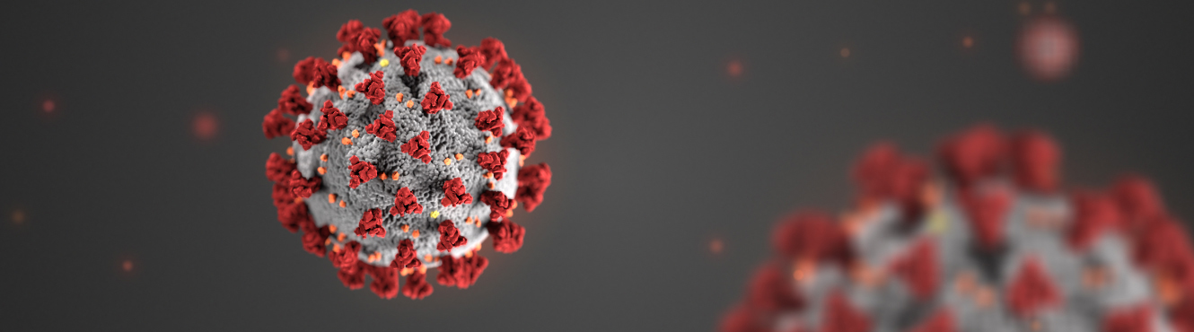 Virus Artist Rendition