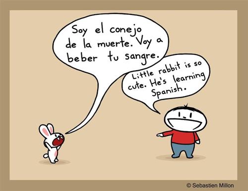 conejo 